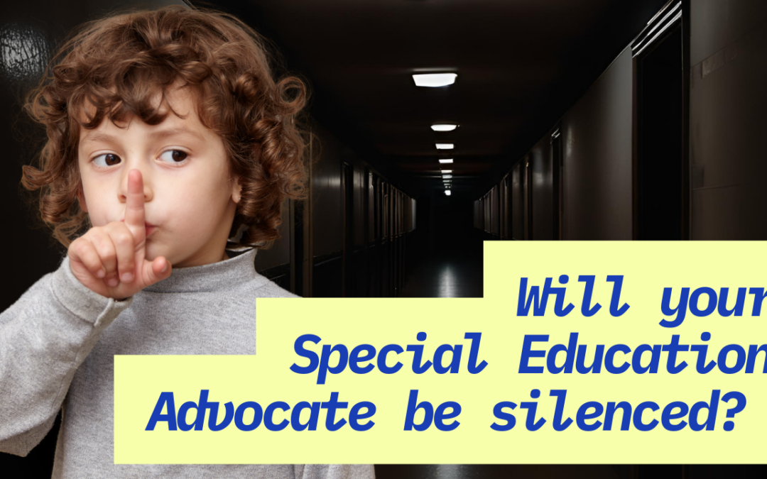 🧳 7 Reasons for Hiring a Special Education Advocate
